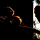 Illustration for article titled Shooting Challenge Silhouettes Gallery 3